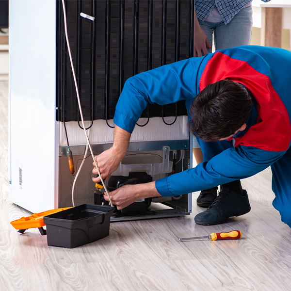 what are the common refrigerator repair services in Rising Sun